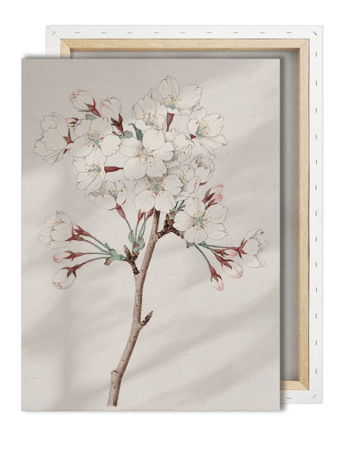 Obraz na płótnie Orientalny kwiat