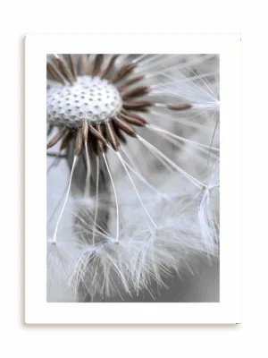 Plakat Ulotne szczęście bez ramy