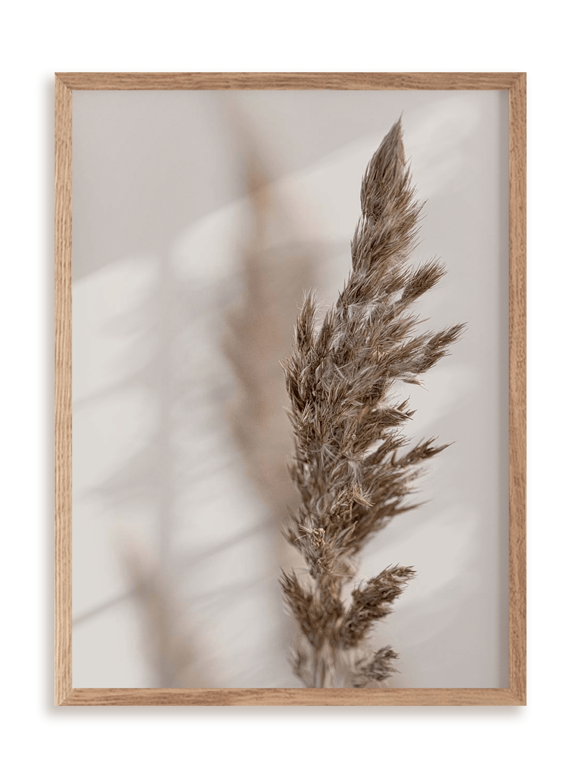 Plakat Zasuszyć lato w ramie drewnianej