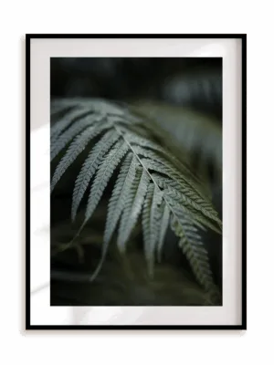 Plakat Ciemna strona paproci w ramie aluminiowej