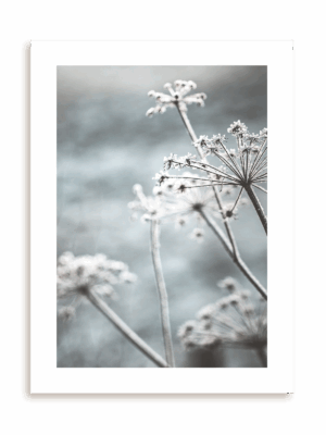 Plakat Powiew wiatru bez ramy