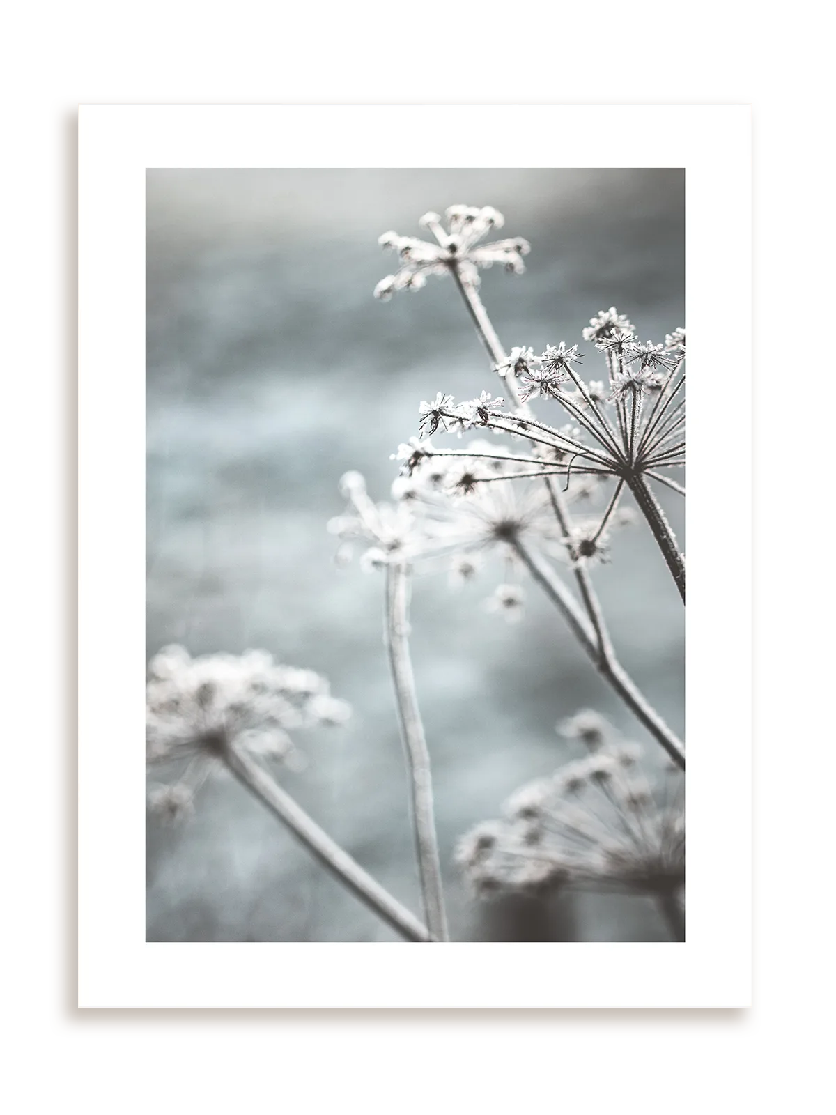 Plakat Powiew wiatru bez ramy