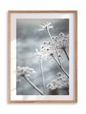 Plakat Powiew wiatru w ramie drewnianej