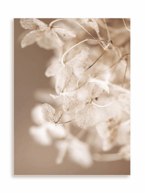 Plakat Kwiatowa mgiełka bez ramy
