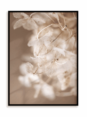 Plakat Kwiatowa mgiełka w ramie aluminiowej
