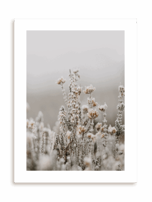 Plakat Czysta natura bez ramy