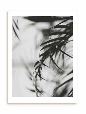 Plakat Palmowa elegancja bez ramy