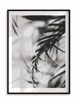 Plakat Palmowa elegancja w ramie aluminiowej