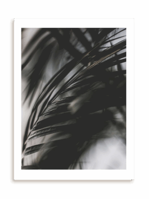 Plakat Nocna elegancja bez ramy