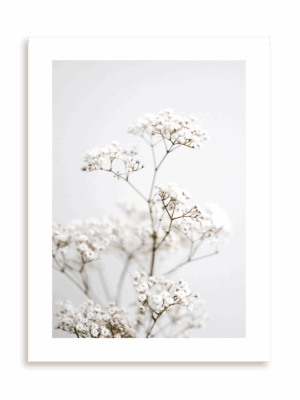 Plakat Białe piękno bez ramy
