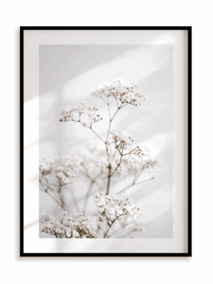 Plakat Białe piękno w ramie aluminiowej