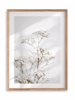 Plakat Białe piękno w ramie drewnianej