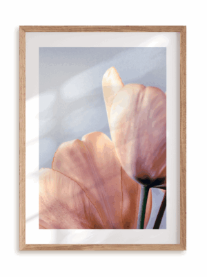 Plakat Kwiatowe ombre I w ramie drewnianej