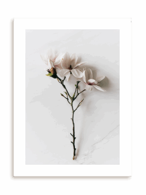 Plakat Subtelne trio bez ramy