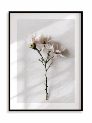 Plakat Subtelne trio w ramie aluminiowej