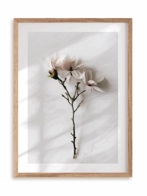 Plakat Subtelne trio w ramie drewnianej