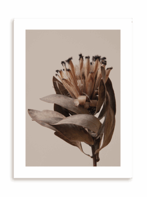 Plakat W brązach bez ramy