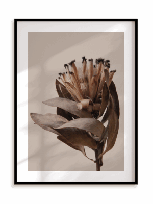 Plakat W brązach w ramie aluminiowej