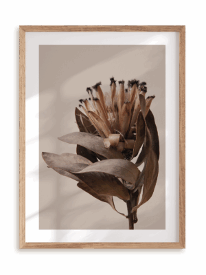 Plakat W brązach w ramie drewnianej