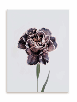 Plakat Violet perfection bez ramy