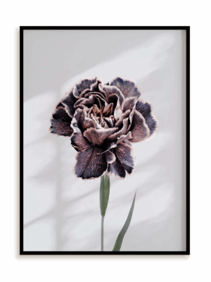 Plakat Violet perfection w ramie aluminiowej