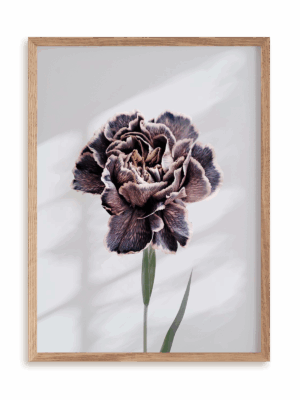 Plakat Violet perfection w ramie drewnianej