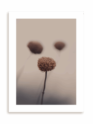 Plakat Jak przez mgłę bez ramy