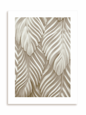 Plakat Liściasta historia bez ramy