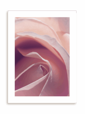 Plakat Roses make my heart smile bez ramy