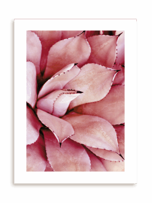 Plakat Różowy po brzegi bez ramy