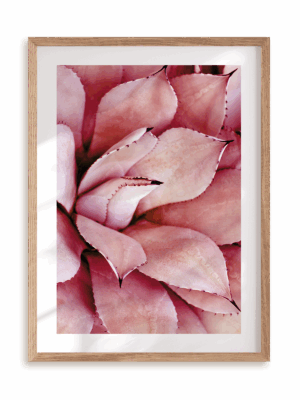 Plakat Różowy po brzegi w ramie drewnianej