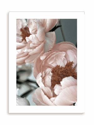 Plakat Bliźniaczki bez ramy