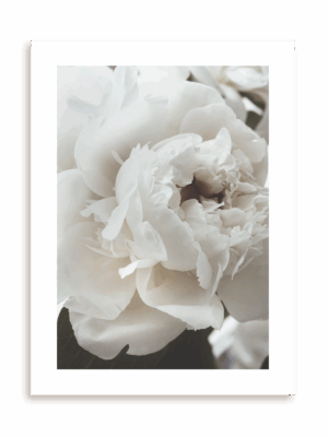 Plakat Niewinna bez ramy