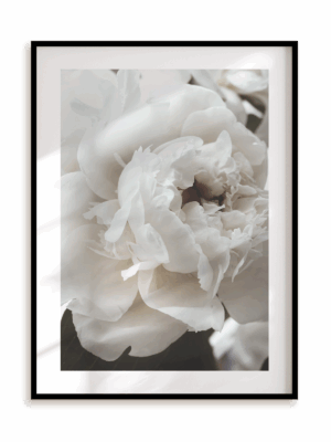 Plakat Niewinna w ramie aluminiowej