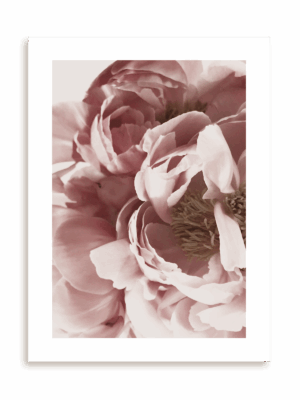 Plakat Finezyjne piękno bez ramy