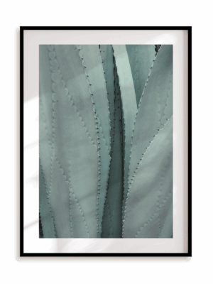 Plakat Ale agawa w ramie aluminiowej