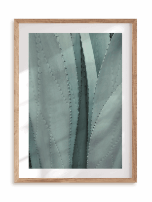 Plakat Ale agawa w ramie drewnianej