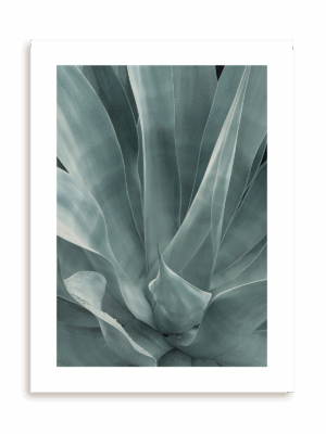 Plakat Agawa w pełni bez ramy