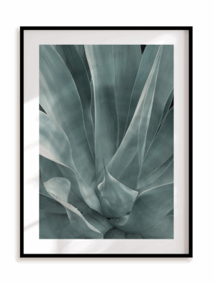 Plakat Agawa w pełni w ramie aluminiowej