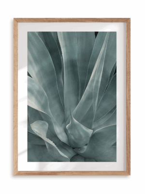 Plakat Agawa w pełni w ramie drewnianej
