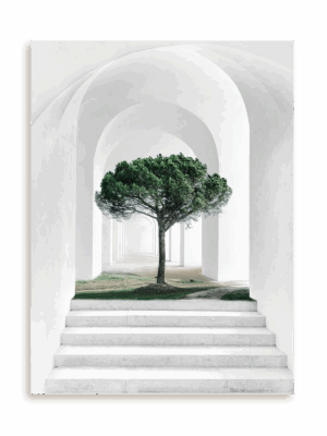 Plakat Białe przejście bez ramy