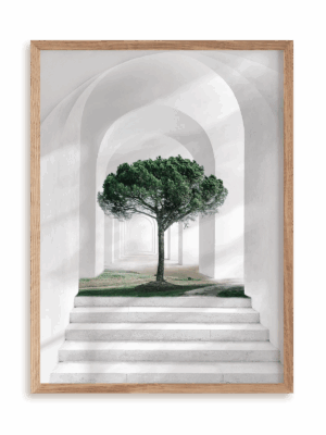Plakat Białe przejście w ramie drewnianej
