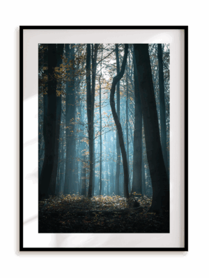 Plakat Las w ramie aluminiowej