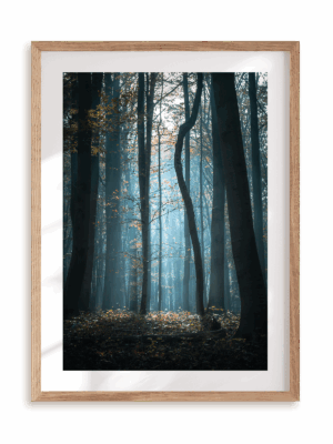 Plakat Las w ramie drewnianej