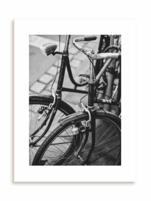 Plakat Kolarz bez ramy