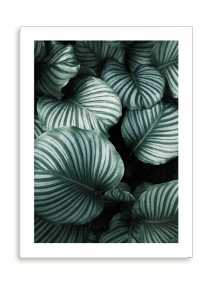 Plakat Obfitość zieleni bez ramy