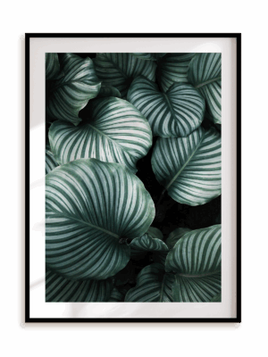 Plakat Obfitość zieleni w ramie aluminiowej