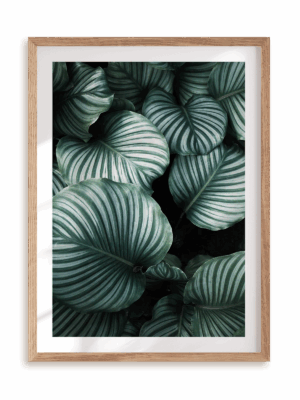 Plakat Obfitość zieleni w ramie drewnianej