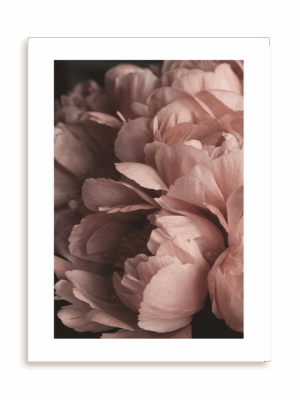 Plakat Kwiatowy światłocień bez ramy