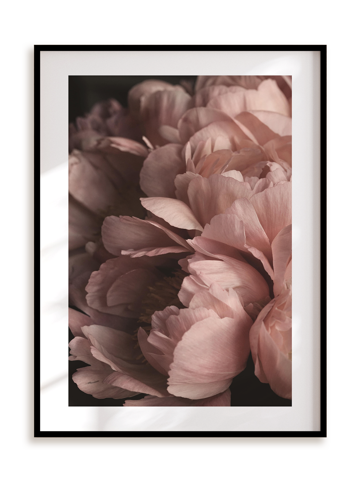 Plakat Kwiatowy światłocień w ramie aluminiowej